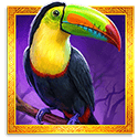 Symbol Bird