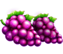 Symbol Grape