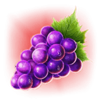 Symbol Grape