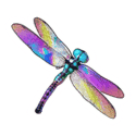 Symbol Dragonfly