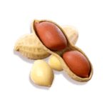 Symbol Peanuts