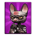 Symbol Cat