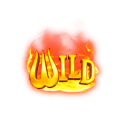 Symbol Wild