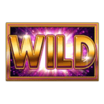 Symbol Wild