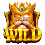 Symbol Wild