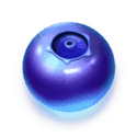 Symbol Blueberry