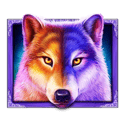 Symbol Wild