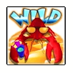 Symbol Wild
