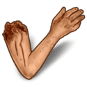Symbol Arm