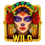 Symbol Wild