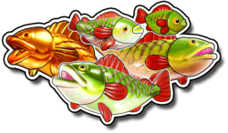 Symbol Any Fish