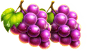 Symbol Grape