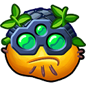 Symbol Wild