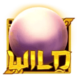 Symbol Wild