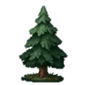 Symbol Spruce