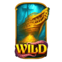 Symbol Wild