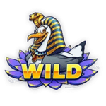 Symbol Wild