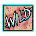 Symbol Wild