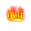 Symbol Wild