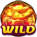 Symbol Wild