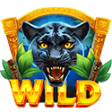 Symbol Wild