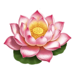 Symbol Lotus Flower