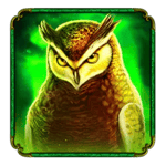 Symbol Owl
