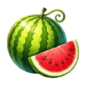Symbol Watermelon