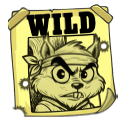 Symbol Wild