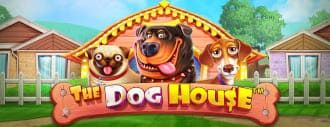 The Dog House