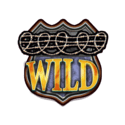 Symbol Wild