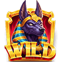 Symbol Wild