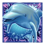 Symbol Wild