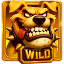 Symbol Wild