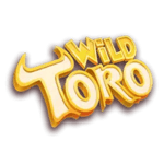 Symbol Wild
