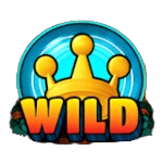 Symbol Wild