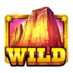 Symbol Wild