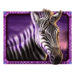 Symbol Zebra