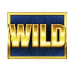 Symbol Wild