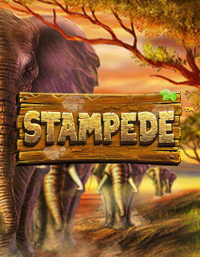 Play Free Demo of Stampede Slot by BetSoft