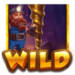 Symbol Wild