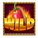 Symbol Wild
