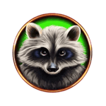 Symbol Raccoon