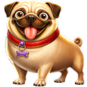 Symbol White dog