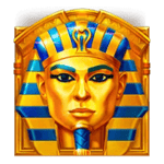 Symbol Wild