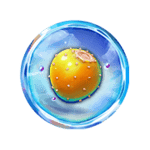 Symbol Orange Strawberry