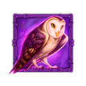 Symbol Owl