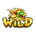 Symbol Wild