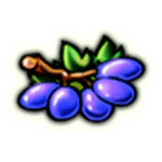 Symbol Grapes