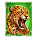 Symbol Cheetah